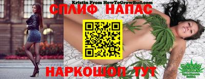 МДПВ Азнакаево