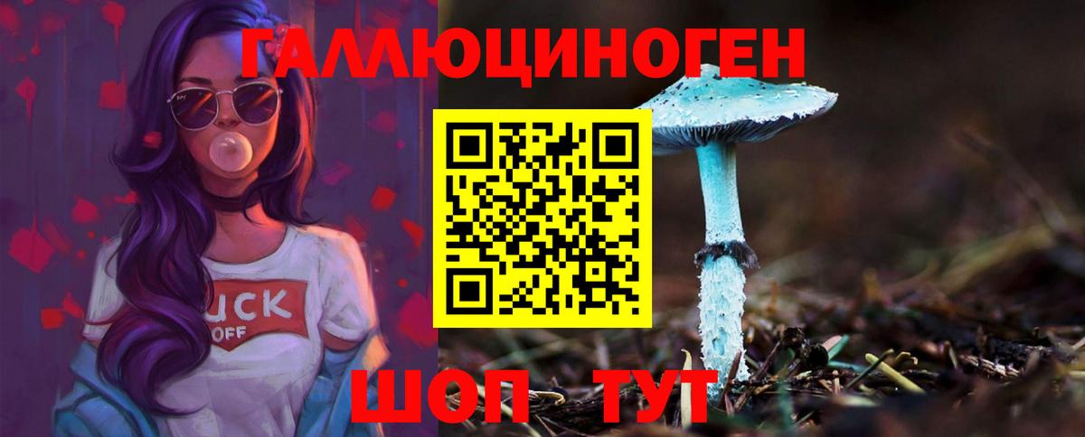 Анапа  Галлюциногенные грибы прущие грибы  Вход с VPN 